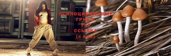 а пвп мука Алзамай
